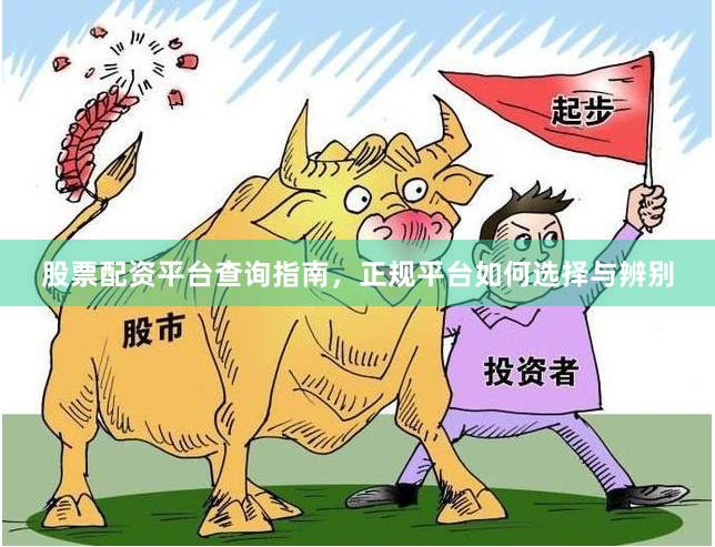 股票配资平台查询指南，正规平台如何选择与辨别